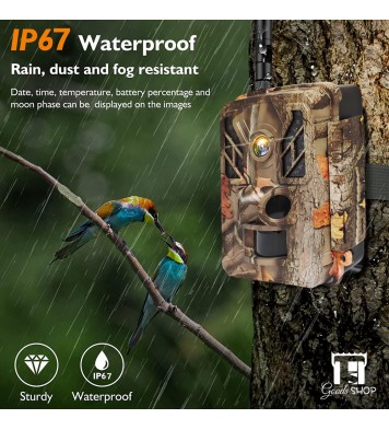  Hunting Trail Camera 