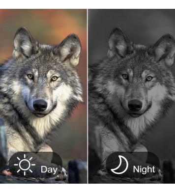 Night Vision  binocular  Z555pro